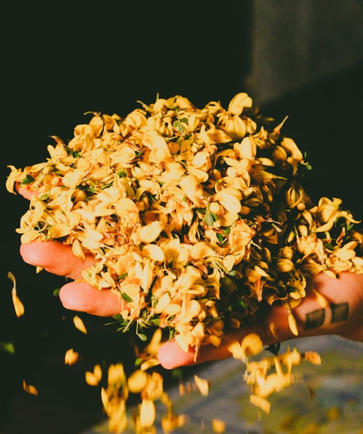 تاثیر رایحه بر فروش