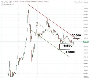 دلار جان ندارد !